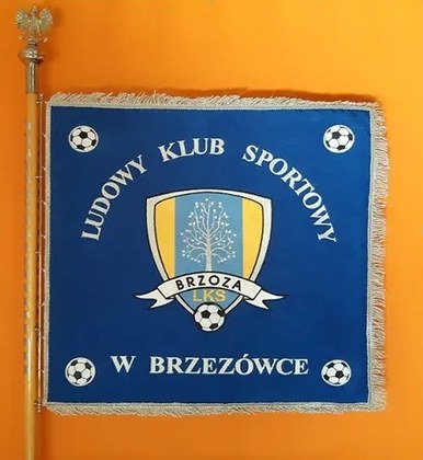 Sztandar Ludowego Klubu Sportowego w Brzezówce